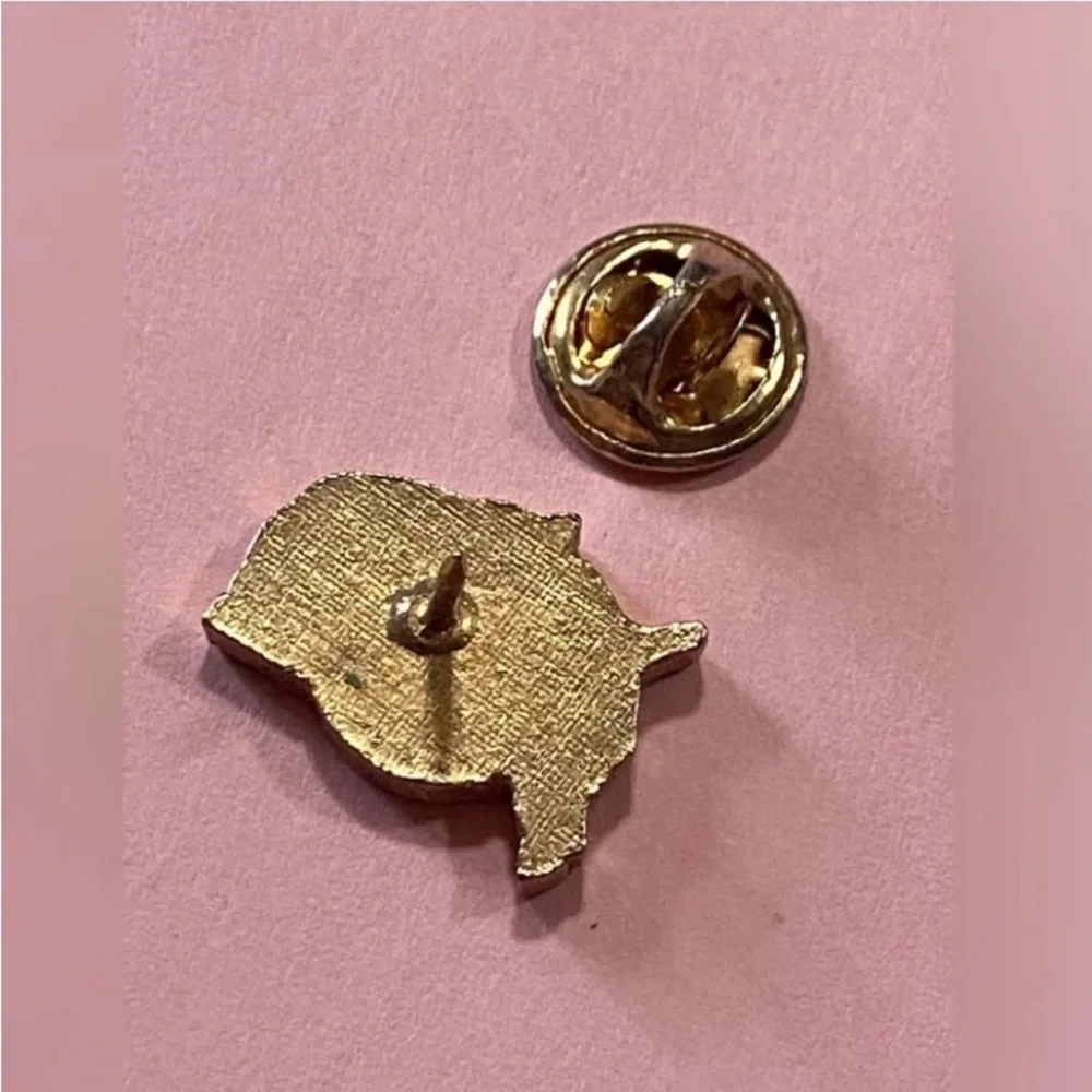 Vintage NAIA National Assn of Intercollegiate Athletics Pin #9024 💎